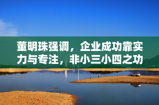 董明珠强调，企业成功靠实力与专注，非小三小四之功