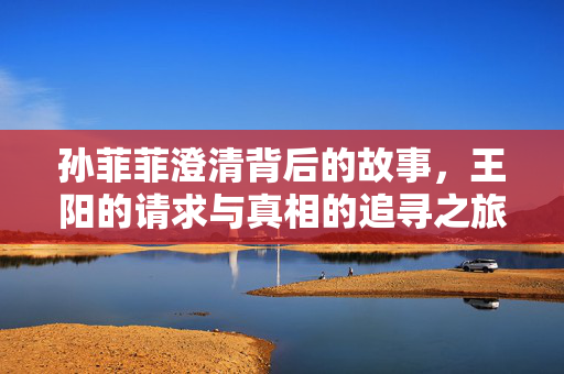 孙菲菲澄清背后的故事，王阳的请求与真相的追寻之旅