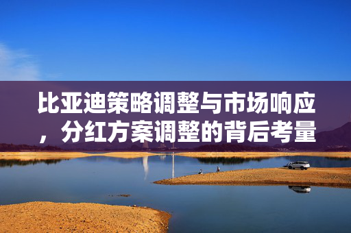 比亚迪策略调整与市场响应，分红方案调整的背后考量