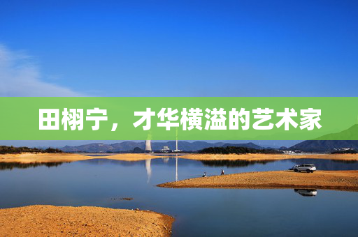田栩宁，才华横溢的艺术家