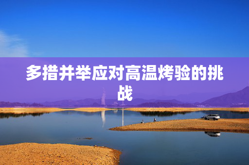 多措并举应对高温烤验的挑战