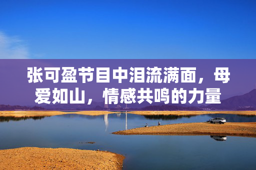 张可盈节目中泪流满面，母爱如山，情感共鸣的力量