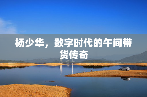 杨少华，数字时代的午间带货传奇