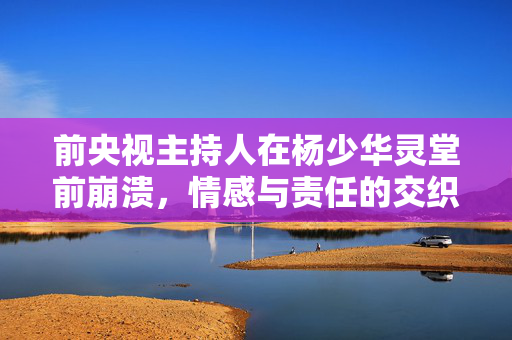前央视主持人在杨少华灵堂前崩溃，情感与责任的交织