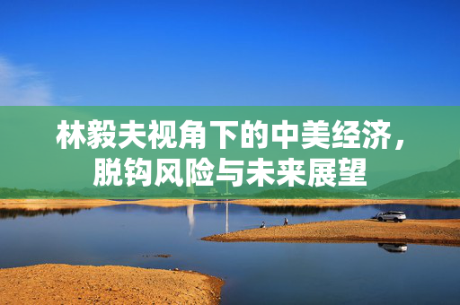 林毅夫视角下的中美经济，脱钩风险与未来展望
