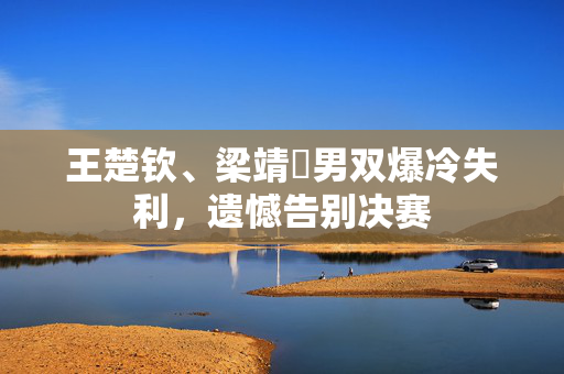 王楚钦、梁靖崑男双爆冷失利，遗憾告别决赛