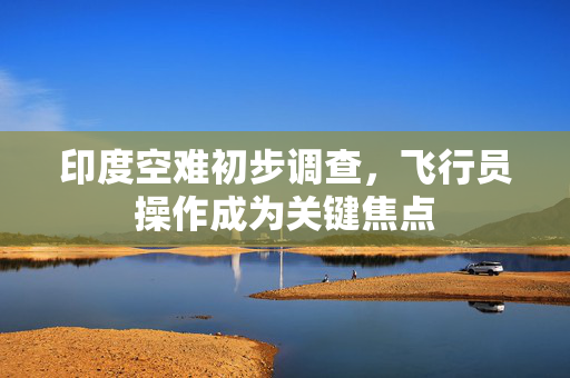 印度空难初步调查，飞行员操作成为关键焦点
