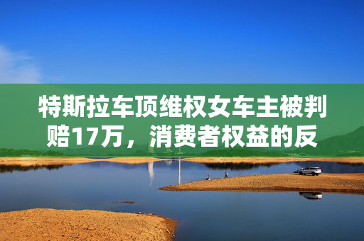 特斯拉车顶维权女车主被判赔17万，消费者权益的反思与展望