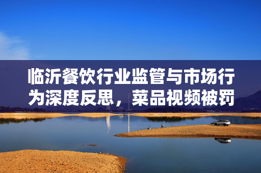 临沂餐饮行业监管与市场行为深度反思，菜品视频被罚45万事件引发的思考