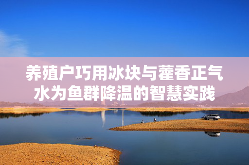 养殖户巧用冰块与藿香正气水为鱼群降温的智慧实践
