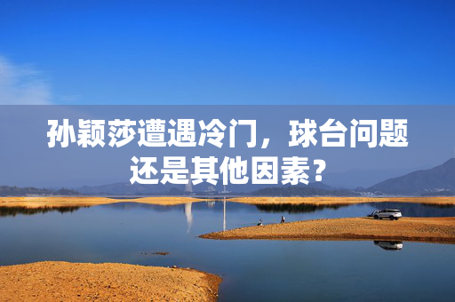 孙颖莎遭遇冷门，球台问题还是其他因素？