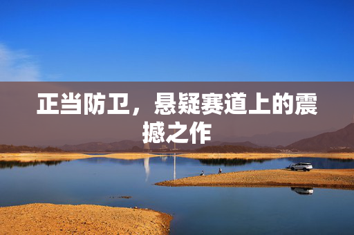 正当防卫，悬疑赛道上的震撼之作