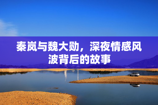 秦岚与魏大勋，深夜情感风波背后的故事