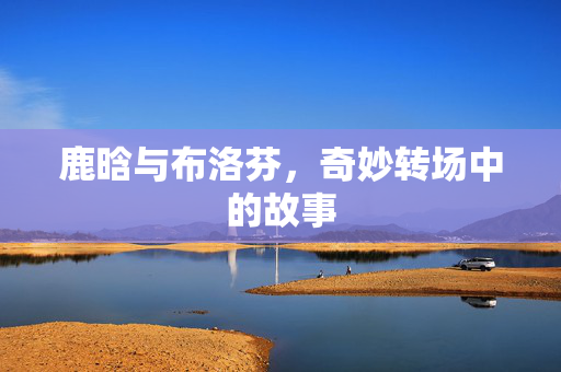 鹿晗与布洛芬，奇妙转场中的故事
