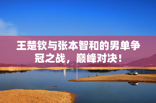 王楚钦与张本智和的男单争冠之战，巅峰对决！