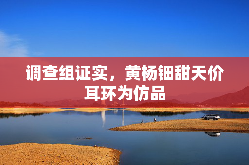 调查组证实，黄杨钿甜天价耳环为仿品