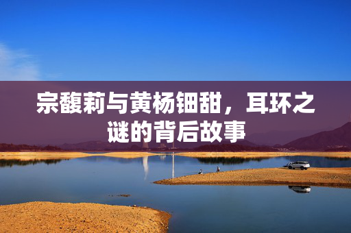 宗馥莉与黄杨钿甜，耳环之谜的背后故事