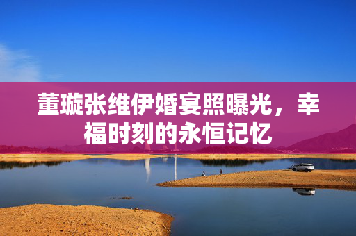 董璇张维伊婚宴照曝光，幸福时刻的永恒记忆