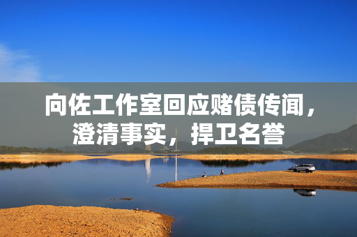 向佐工作室回应赌债传闻，澄清事实，捍卫名誉