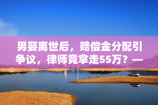 男婴离世后，赔偿金分配引争议，律师竟拿走55万？——法律与道德的双重审视