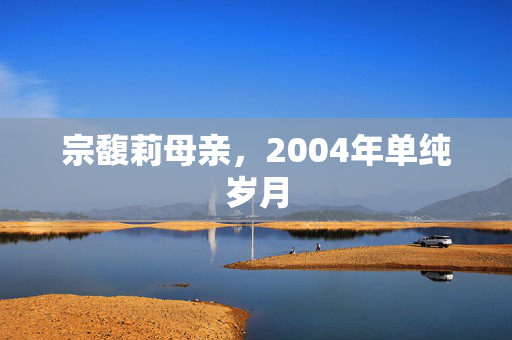 宗馥莉母亲，2004年单纯岁月