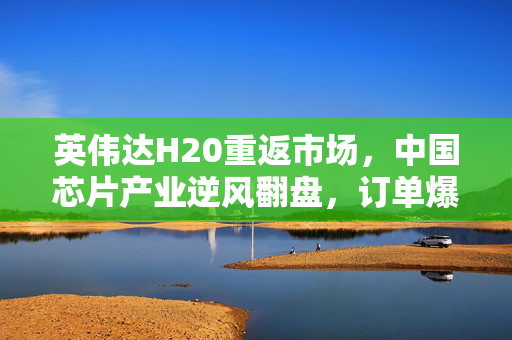 英伟达H20重返市场，中国芯片产业逆风翻盘，订单爆满！