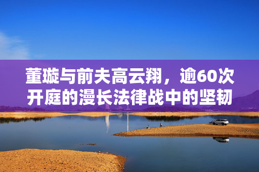 董璇与前夫高云翔，逾60次开庭的漫长法律战中的坚韧与坚持