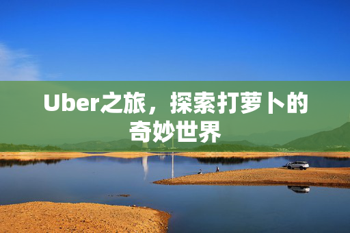 Uber之旅，探索打萝卜的奇妙世界
