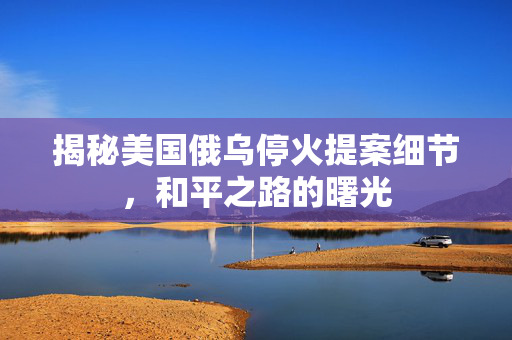 揭秘美国俄乌停火提案细节，和平之路的曙光