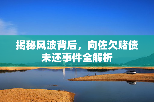 揭秘风波背后，向佐欠赌债未还事件全解析