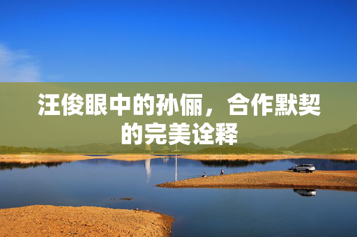 汪俊眼中的孙俪，合作默契的完美诠释