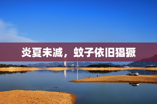 炎夏未减，蚊子依旧猖獗