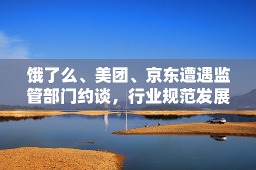饿了么、美团、京东遭遇监管部门约谈，行业规范发展面临新挑战