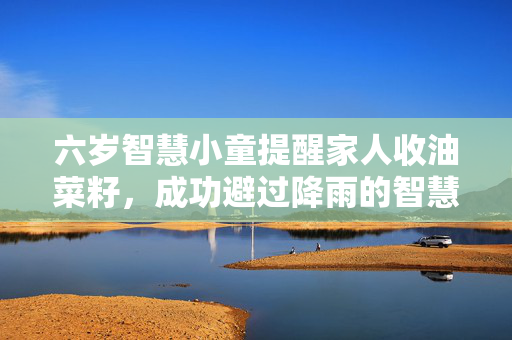 六岁智慧小童提醒家人收油菜籽，成功避过降雨的智慧之举