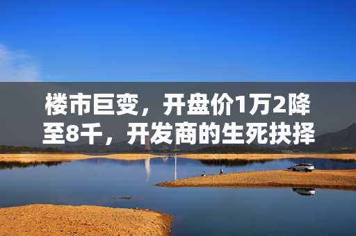 楼市巨变，开盘价1万2降至8千，开发商的生死抉择