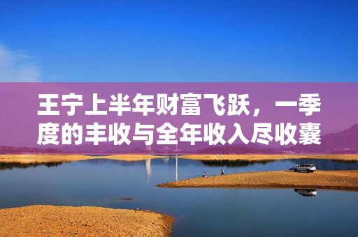 王宁上半年财富飞跃，一季度的丰收与全年收入尽收囊中