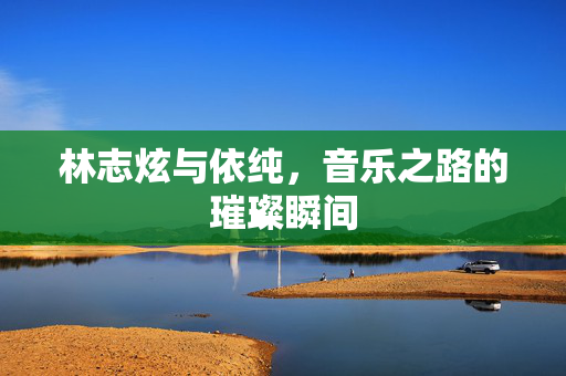 林志炫与依纯，音乐之路的璀璨瞬间