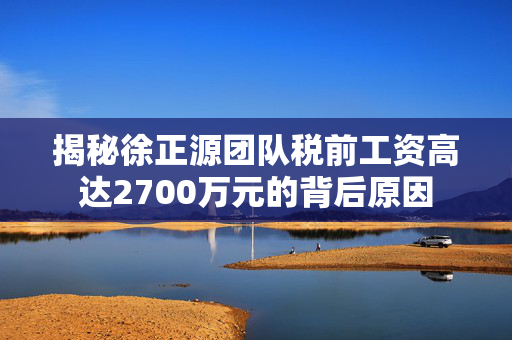 揭秘徐正源团队税前工资高达2700万元的背后原因