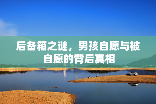 后备箱之谜，男孩自愿与被自愿的背后真相