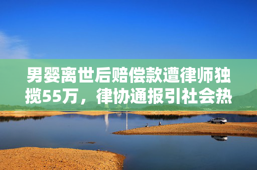 男婴离世后赔偿款遭律师独揽55万，律协通报引社会热议