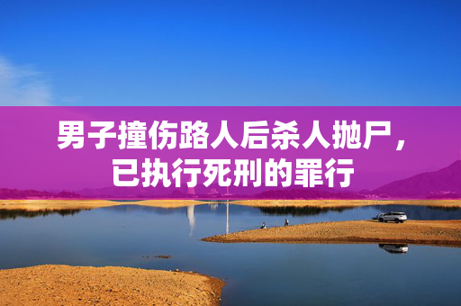 男子撞伤路人后杀人抛尸，已执行死刑的罪行