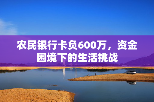 农民银行卡负600万，资金困境下的生活挑战
