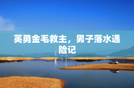 英勇金毛救主，男子落水遇险记
