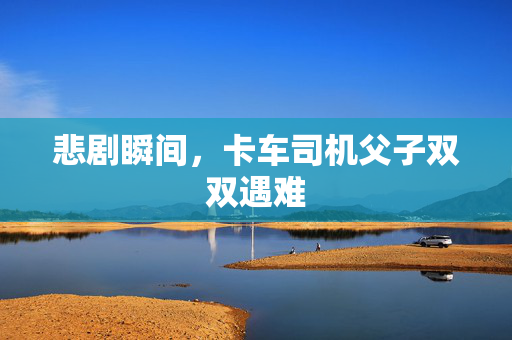 悲剧瞬间，卡车司机父子双双遇难