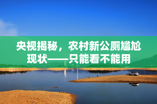 央视揭秘，农村新公厕尴尬现状——只能看不能用