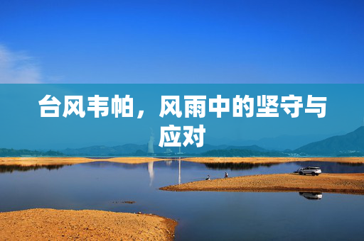 台风韦帕，风雨中的坚守与应对