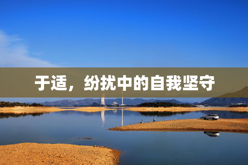 于适，纷扰中的自我坚守