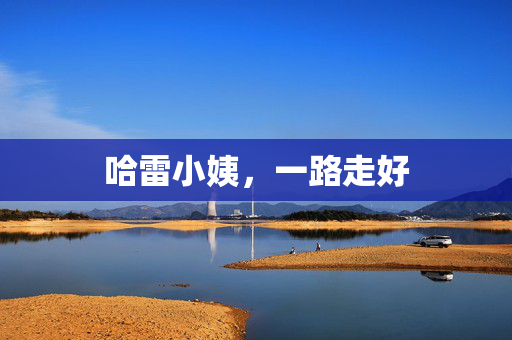 哈雷小姨，一路走好