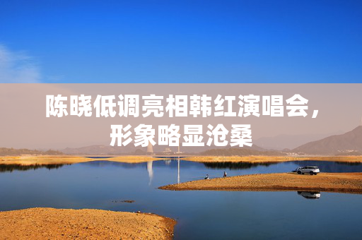 陈晓低调亮相韩红演唱会，形象略显沧桑