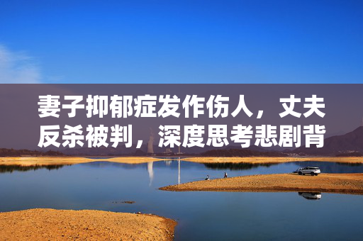 妻子抑郁症发作伤人，丈夫反杀被判，深度思考悲剧背后的责任与挑战